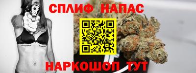 mdpv Краснознаменск