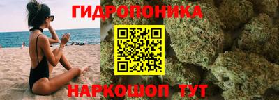 mdpv Краснознаменск