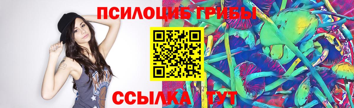 Галлюциногенные грибы Psilocybine cubensis Усинск